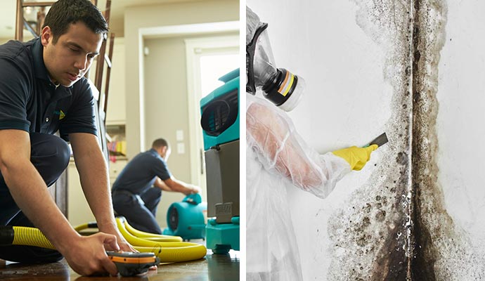 collage of professional water damage and mold remediation