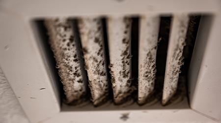 HVAC Mold Remediation in Edison & Bridgewater