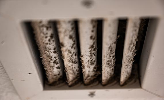 Close-up view of a hvac system vent cover with visible mold