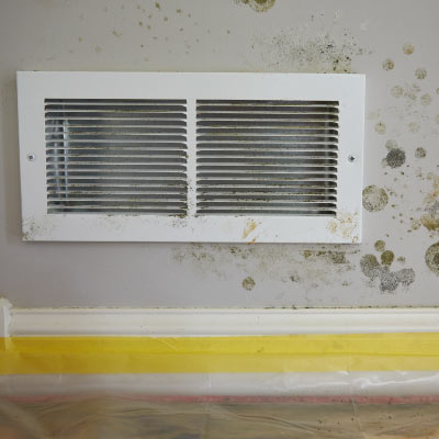 Mold around vent