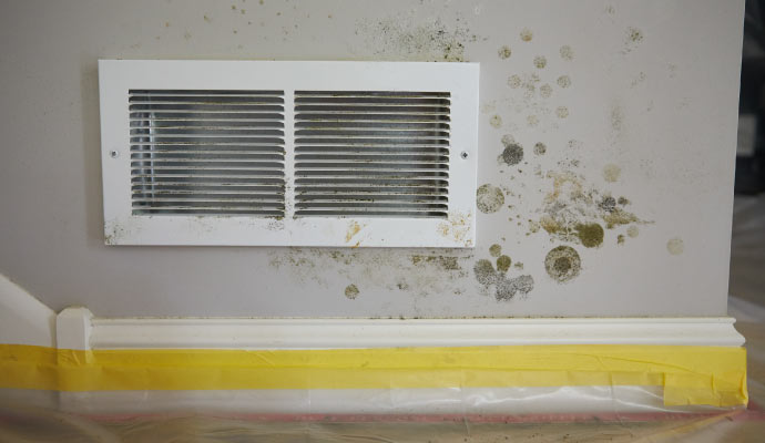 mold growth after water damage