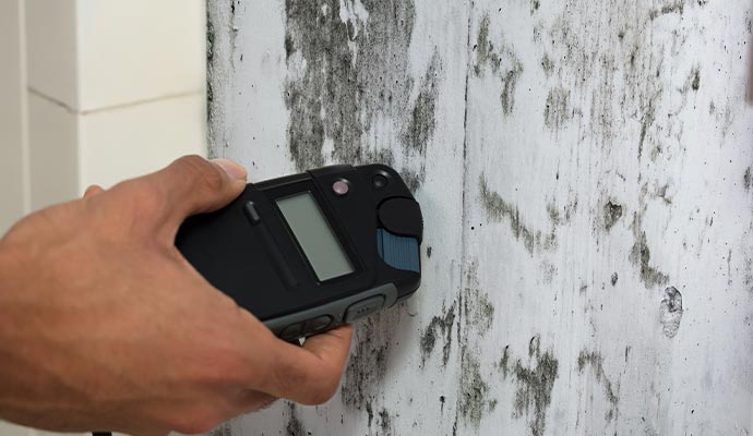 a person inspecting mold on the wall