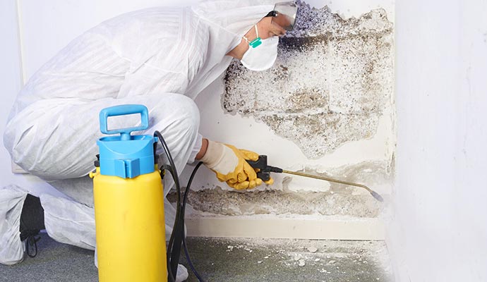 professional worker removing mold from the wall