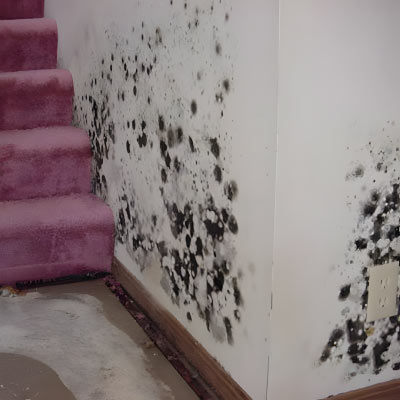 A moldy wall