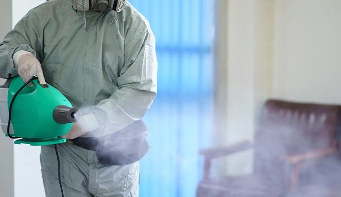 professional worker removing smoke odor