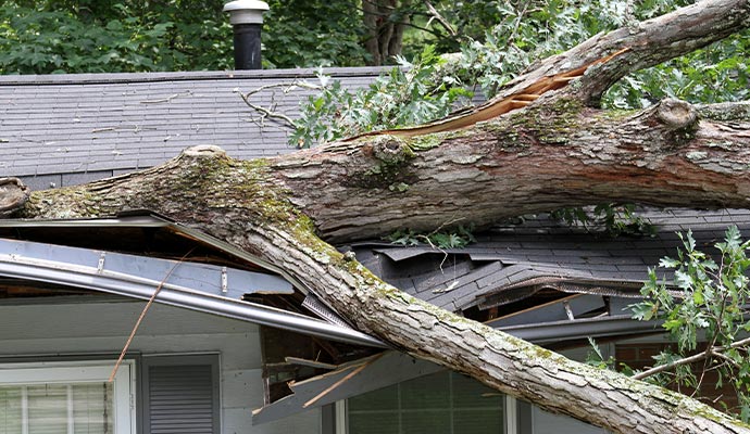 a broken tree on the damaged roof