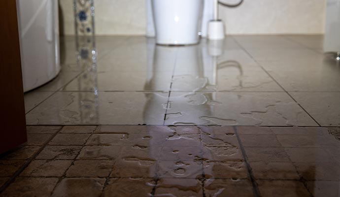 Sewage Removal & Cleanup in Edison & Bridgewater