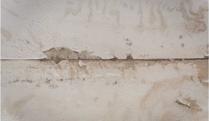 Close-up view of water damaged wall