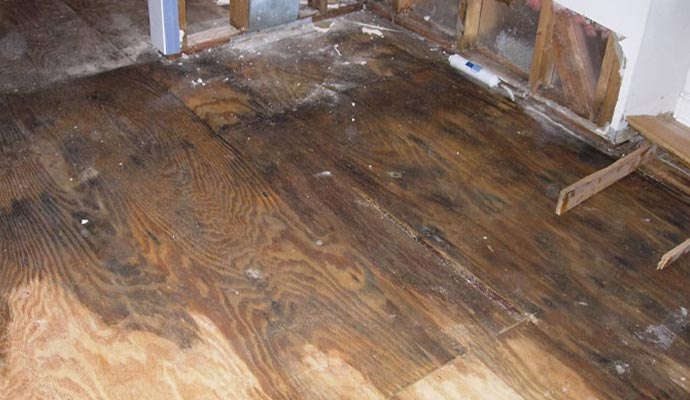 water damaged wooden floor